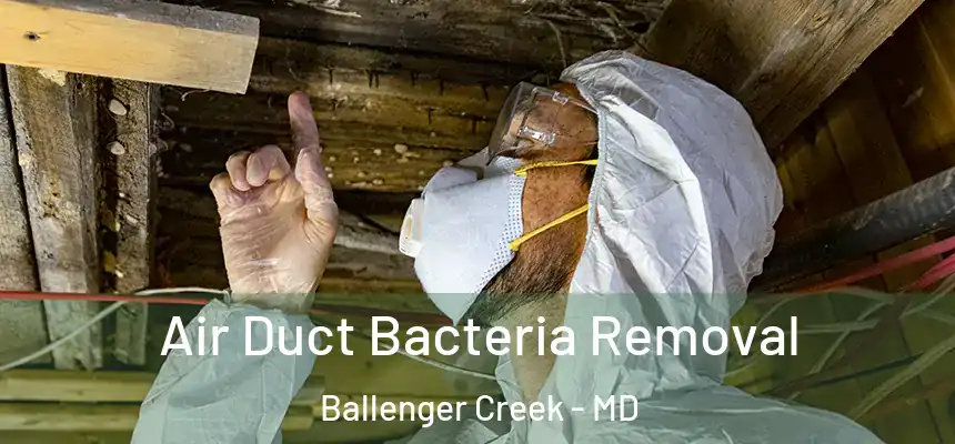  Air Duct Bacteria Removal Ballenger Creek - MD