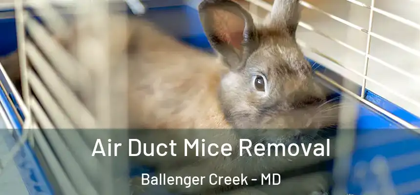  Air Duct Mice Removal Ballenger Creek - MD
