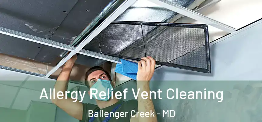  Allergy Relief Vent Cleaning Ballenger Creek - MD