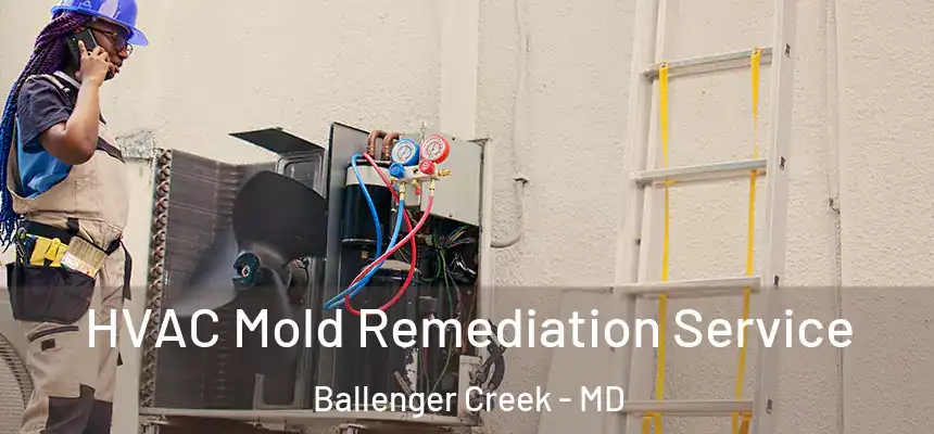 HVAC Mold Remediation Service Ballenger Creek - MD