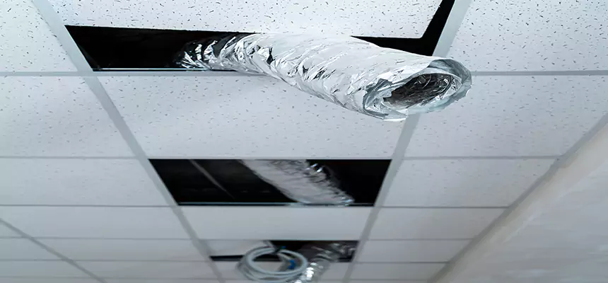 Our Air Duct Pet Hair Removal Services in Ballenger Creek, MD