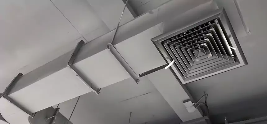 Restorative Allergy Relief Vent Cleaning – Coil, Blower & Housing Detail in Ballenger Creek