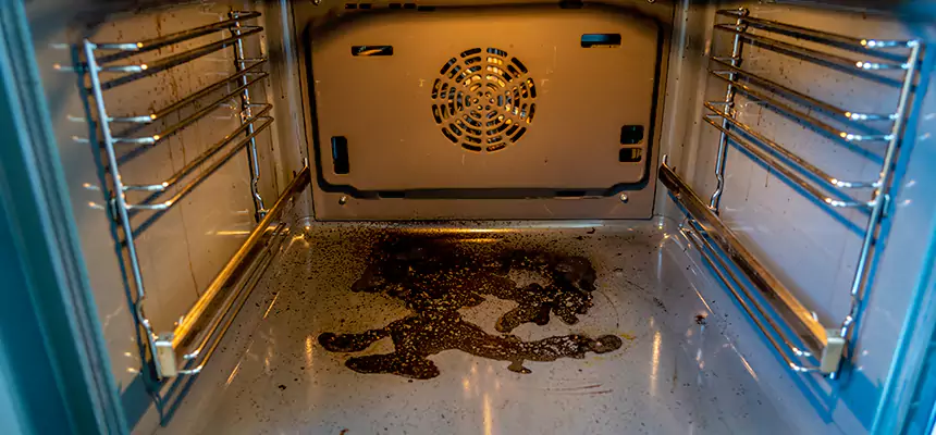 Our Dryer Vent Mold Cleaning Services in Ballenger Creek, MD