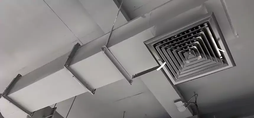 Our Pest Removal From Ducts Services in Ballenger Creek, MD