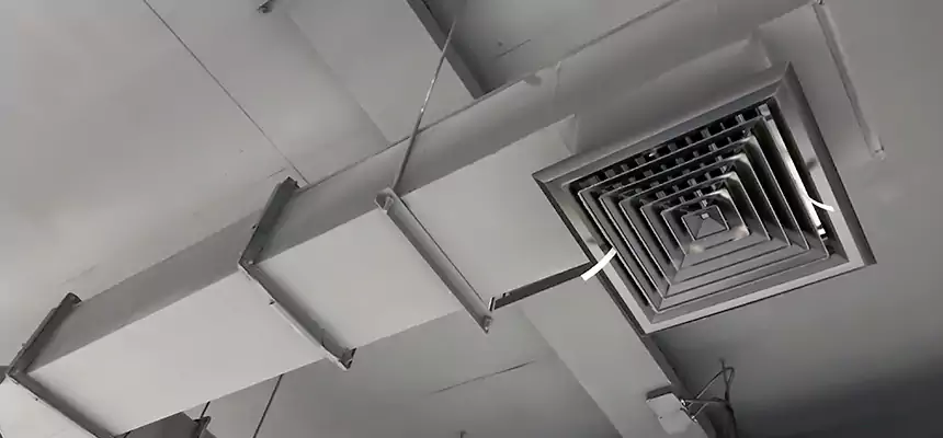 Our Rodent Droppings In Vents Services in Ballenger Creek, MD