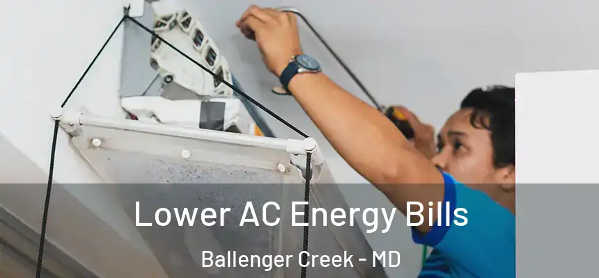  Lower AC Energy Bills Ballenger Creek - MD
