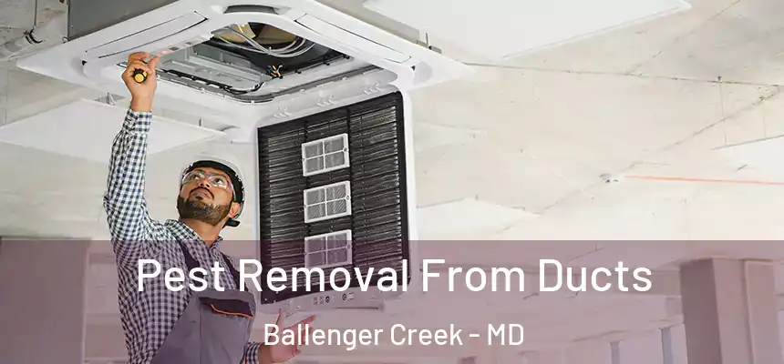  Pest Removal From Ducts Ballenger Creek - MD