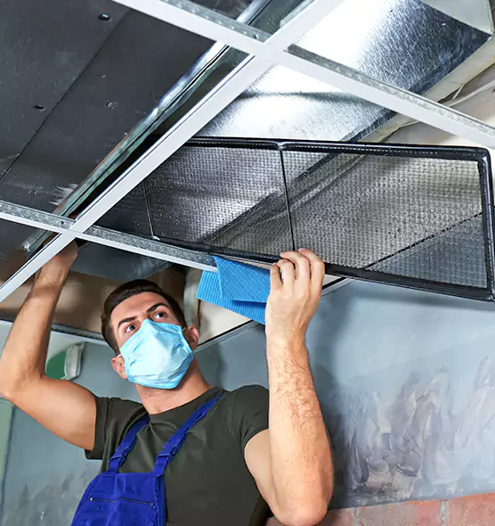 Professional Air Duct Pollen Cleaning in Ballenger Creek, MD