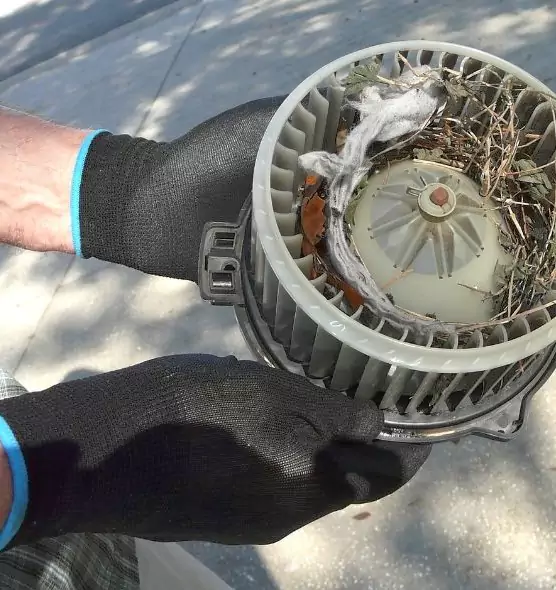 About Air Duct Rat Removal in Ballenger Creek, MD