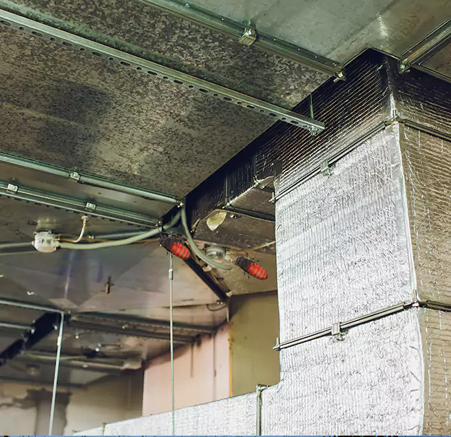 Why Homeowners & Businesses Trust Us Ballenger Creek, MD?