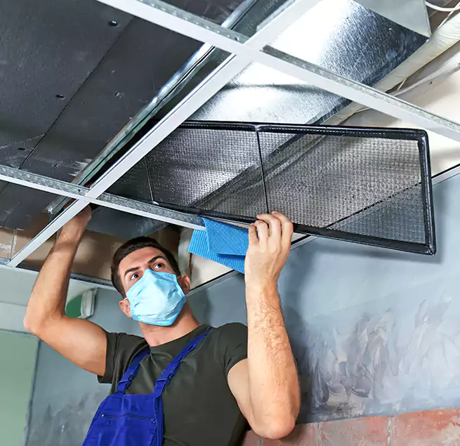 Why Homeowners Businesses Trust Us in Ballenger Creek, MD